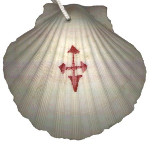 pilgrim shell.jpg